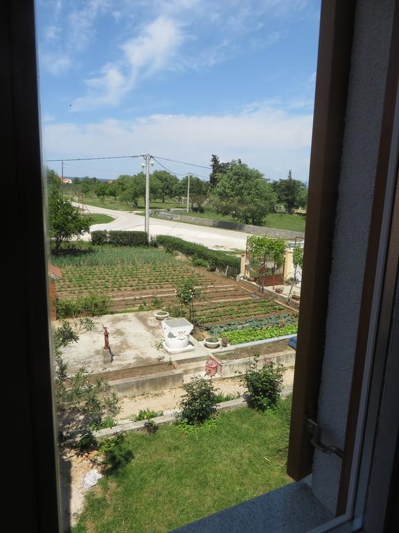 Filipovic Apartments With Pool Biograd Na Moru Buitenkant foto